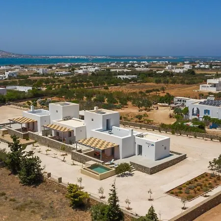 Bluebell Sunrise * Pounda